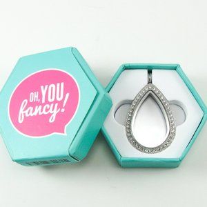 Origami Owl Crystal Teardrop Silver Locket